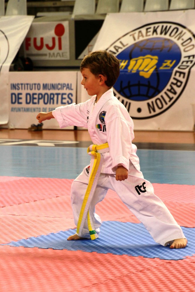 Taekwondo Dic 2016 (21).jpg